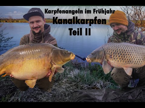 Kanalkarpfen II - Carpfishing - Angeln mit Boilies - Erfolgreich auf Karpfen