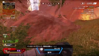 今夜も一位目指して！　パンダの生放送[Apex  [PS4版]］