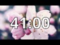 41 Minutes Timer with Music | Cherry Blossom Timer