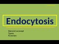Endocytosis Session 1st Concepts List Of Types And Basic Functions