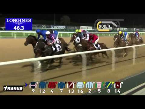 19.02.2015 Meydan (Dubai/UAE) 3.Race Meydan Sobha Dirt - Handicap  1.600 m