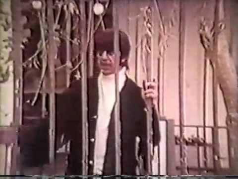 Mark Lindsay - Miss America (tv clip)