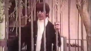 Mark Lindsay - Miss America (tv clip)