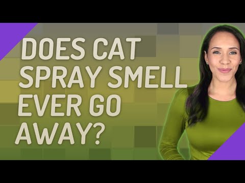 Does cat spray smell ever go away?