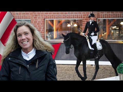 Wir kaufen ein Dressurpferd - Riesiger Rappe aus Dänemark soll Conrads nachfolge antreten