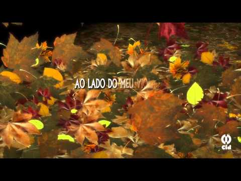 Folhas Secas - Cláudia Telles