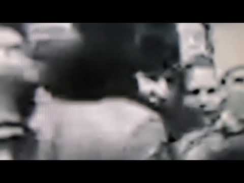 The Silence Industry "Where Red Flowers Bloom" (Official Lyrics Video)