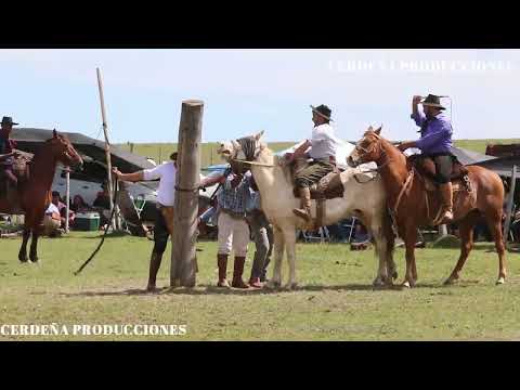 VIDEO DIA DOMINGO MOIRONES 2023
