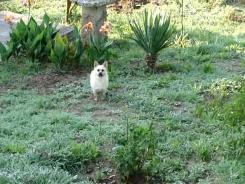 Mary Carmen sacando patacas
