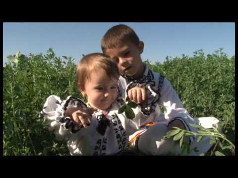 Mihaela și Ciprian Istrate - COPILAȘII MI-S AVEREA