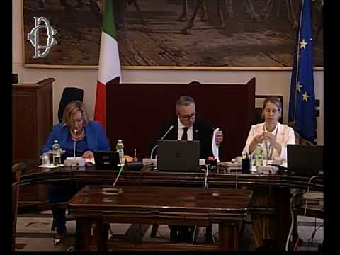 Roma -  Interrogazioni a risposta immediata (19.07.23)