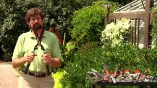 preview picture of video 'Food for Thought,  Garden Tips: Pruning Tools'