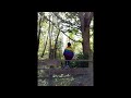 Riptide Taylor Swift Vance Joy Cover