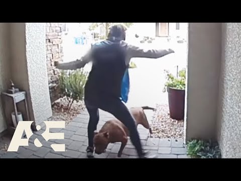 Delivery Driver Saves Homeowner & Dog from Pit Bull Attack | Neighborhood Wars | A&E