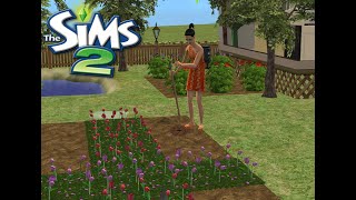 🌿Sims 2 No Commentary Gameplay | Gardening & Quiet Life🌿 Cottagecore ASMR Gardening🌱