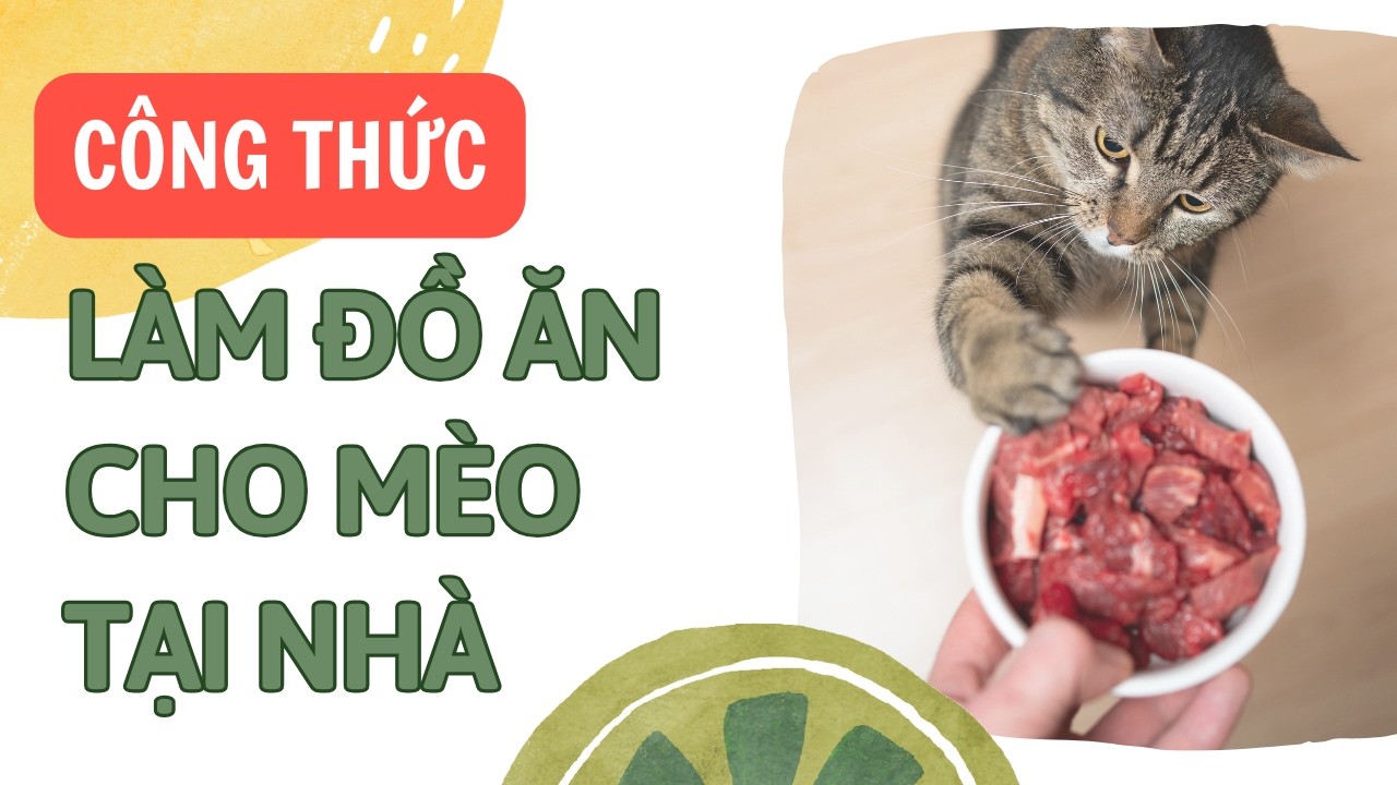 Cách Làm Pate Cho Mèo - Bí Quyết Để Mèo Hạnh Phúc | Bác Sĩ Trung
