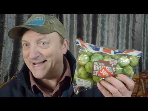 (TGTG)  To Good To Go - Dicksons