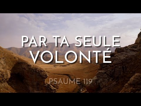 Vidéo 3