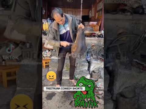 EATING  A HORSE 🐎  HEAD- TREETRUNK COMEDY SHORTS 🤣 😆 😄 #shortsfeed #viral #trending #funny #laugh