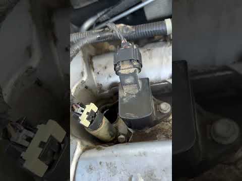 VVT Exhaust Solenoid Replacement