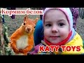 VLOG kid`s Киндер Катя и Сюрприз для белочек / kinder Katy & surprise ...