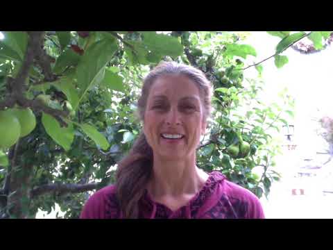 Wah! talks about Self Healing - NatureWatching