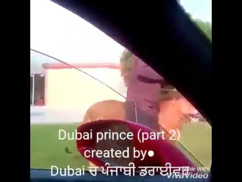 dubai vale shera shonkin