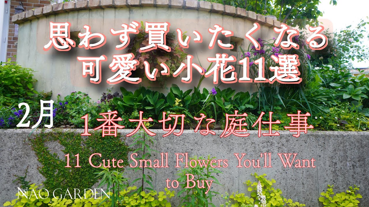 【冬から春のガーデニング】思わず買いたくなる可愛い小花11選｜2月の1番大切な庭仕事｜鉢植えに寒肥は必要？11 Cute Small Flowers You'll Want to Buy