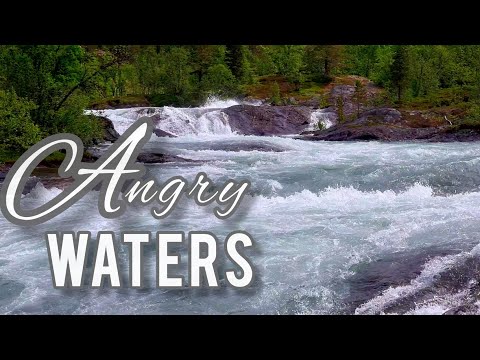 NATURE Nordreisa ,North Norway / Days in our life vlog