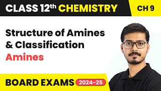 Amines - Structure of Amines & Classification | Class 12 Chemistry Chapter 9 | CBSE 2024-25