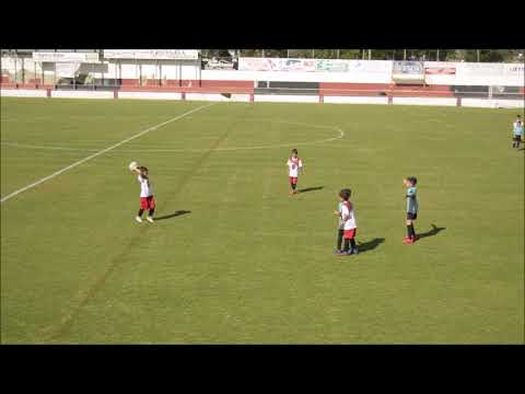 AMISTOSO Roteña - Global Sport