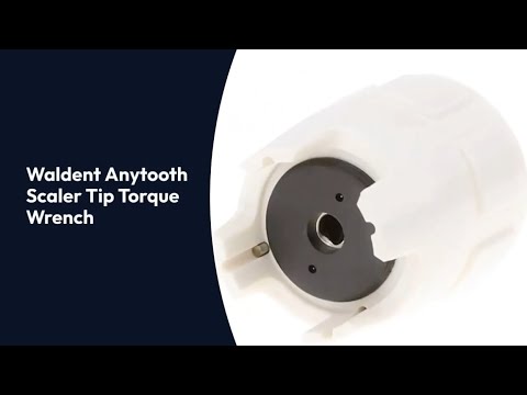Waldent Anytooth Scaler Tip Torque Wrench