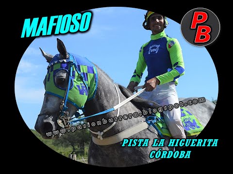 MAFIOSO - PISTA LA HIGUERITA (26-12-2021)