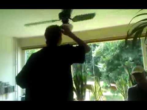 zoomy met kop in ventilator..