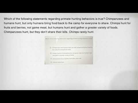 Which of the following statements regarding primate hunting behaviors is true? Chimpanzees and human