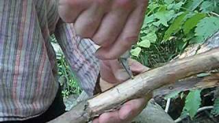 VICTORINOX FARMER 0.8241.26