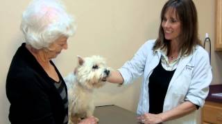 preview picture of video 'Lincoln City Animal Clinic - Short | Lincoln City, OR 97367'
