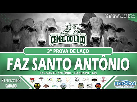 3ª Prova de Laco Faz Santo Antonio - Carapo-MS