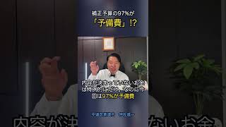 補正予算の97％が[予備費]⁉️ #政治 #経済 #いさ進一