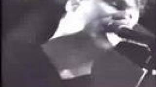 Pansy Division &quot;Vicious Beauty&quot; (PG-13 version)