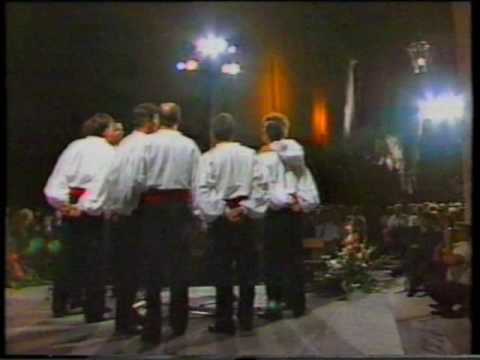 Prosti meni vilo - klapa Dalmati - FDK 1991