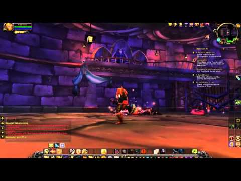 Level 80 Paladin solo - Naxxramas Military Quarter