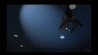 Download lagu Tick Tock, Anxiety mp3