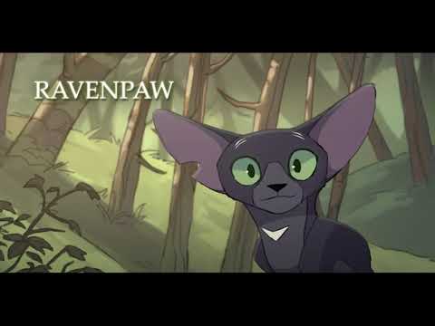 Wc animated round two auditions