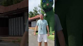 Download lagu This cat is really alive!#funny #🥰cats#catvideos #tiktok #social #usafunny #catlovers #funpage mp3 Download lagu This cat is really alive!#funny #🥰cats#catvideos #tiktok #social #usafunny #catlovers #funpage mp3