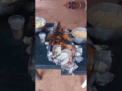 puerto Carreño Vichada colombia 🎣 #parati #pesca #lineadepesca #fypシ゚viral