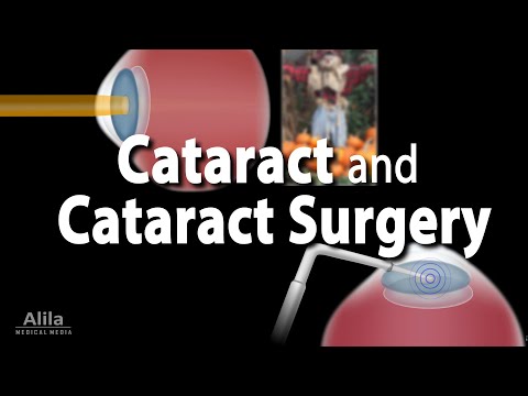 Vision Anatomy and Physiology Animation