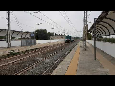 Treno Regionale Aln663 1142 Regionale 21694 Reggio di Calabria Centrale-Roccella Jonica
