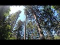 Mt Jackson Photo And Video Montage
