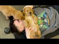 PuppyYoga Clips 2